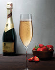 Vinifera Set of 2 Champagne Glasses