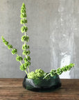 Opti Centrepiece