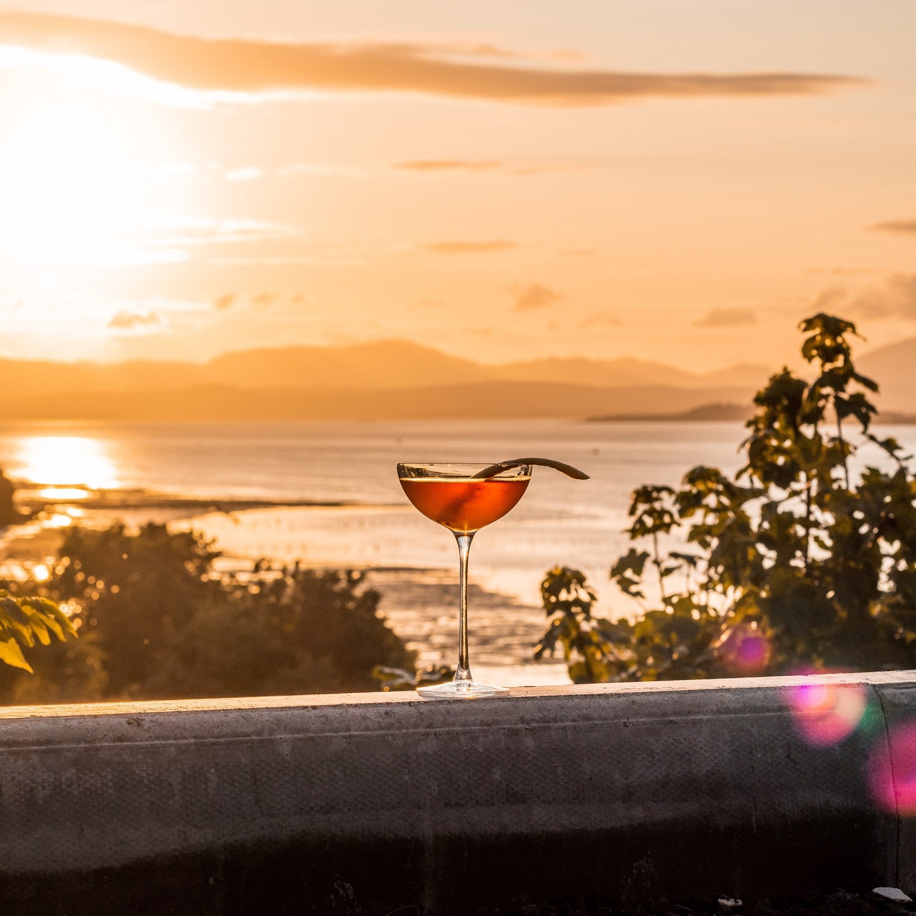 Hepburn Set of 2 Coupe Glasses