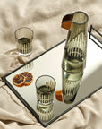 Parrot Set of 2 Water Glasses
