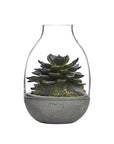 Eden Mini Terrarium Clear with Moulded Concrete Base