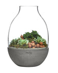 Eden Terrarium Clear with Moulded Concrete Base