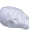Memento Mori Faceted Skull Bowl Opal White Large