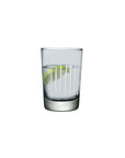 Parrot Set of 2 Water Glasses