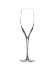 Terroir Set of 2 Champagne Glasses