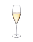 Terroir Set of 2 Champagne Glasses