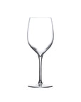 Terroir Set of 2 White Wine Glasses