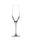 Vinifera Set of 2 Champagne Glasses