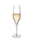 Vinifera Set of 2 Champagne Glasses
