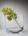 Blade Vase Regular