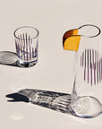 Parrot Set of 2 Water Glasses