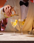 Bar/Giani Double Pour Mixing Glass with martini glass — NUDE