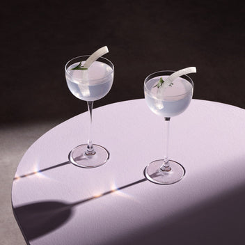 Savage Set of 2 Pony Glasses – NUDE B2B USA